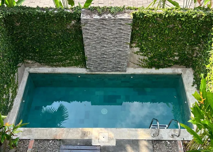 Alergia Villa